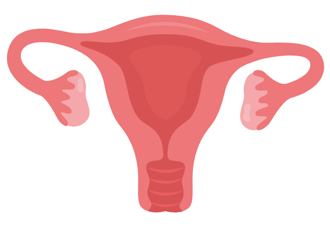 Histeroscopia / Vaginoscopia